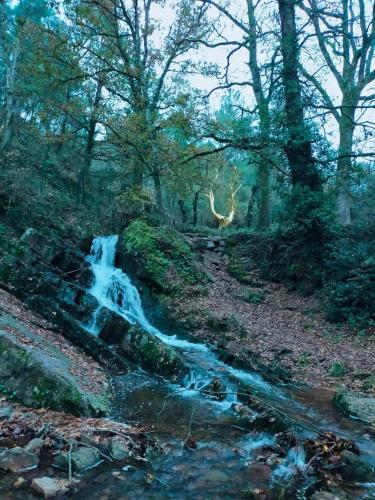 une peinture d'une cascade dans une forêt dans l'établissement Gîte coeur de Brocéliande, à Néant-sur-Yvel
