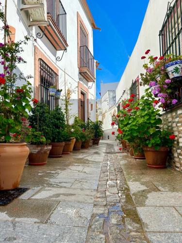 an alley with potted plants on the side of buildings at El Txoko Andaluz in Cantillana