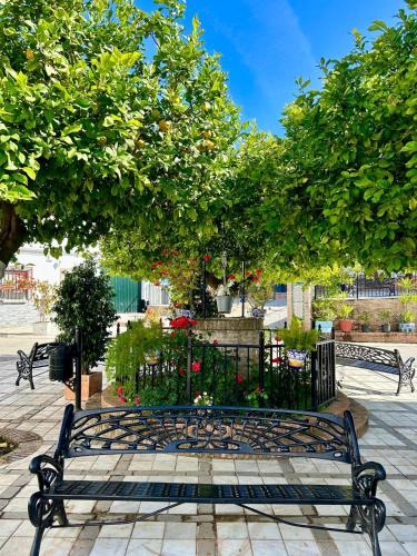 a bench sitting under a tree in a park at El Txoko Andaluz in Cantillana