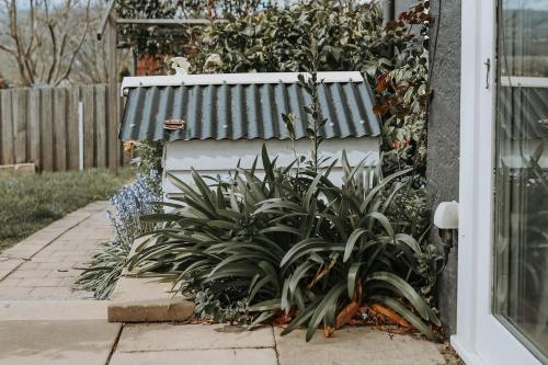 a plant in front of a fence next to a house at Vibrant Dual Retreat Vagabond s Rest Rose Gold Hideaway in Kings Park