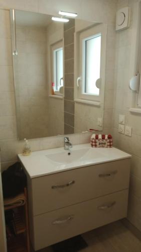 une salle de bain avec un lavabo et un miroir dans l'établissement La Fugue en Bresse, à La Bresse