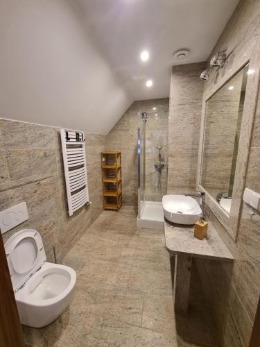 uma casa de banho com um WC, um lavatório e um chuveiro em Pod Laskiem em Krośnica