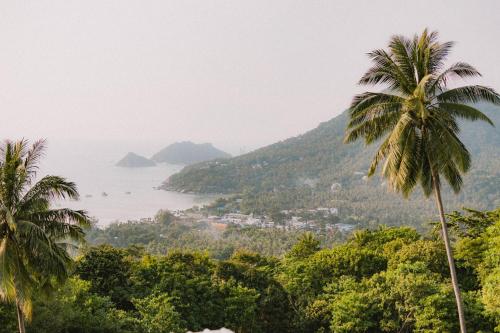 a view of the ocean from a hill with palm trees at Perfect View Pool Villa in Koh Tao