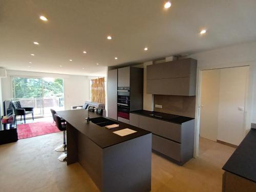 - une cuisine avec un îlot noir dans la chambre dans l'établissement Le Cèdre Magnifique Appartement à Cannes, à Cannes