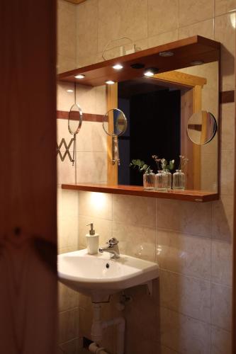 a bathroom with a sink and a mirror at Fryksas Chalet in Fryksås