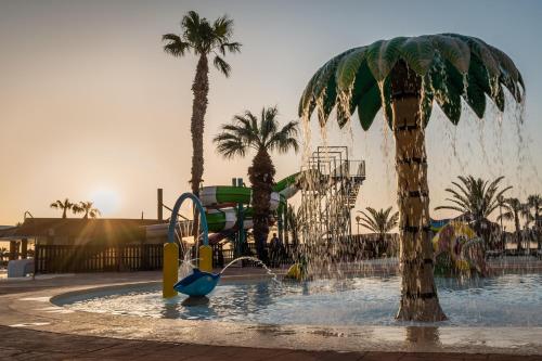 a water park with a water slide and a palm tree at ALEGRIA Colonial Mar Aquafun in Roquetas de Mar