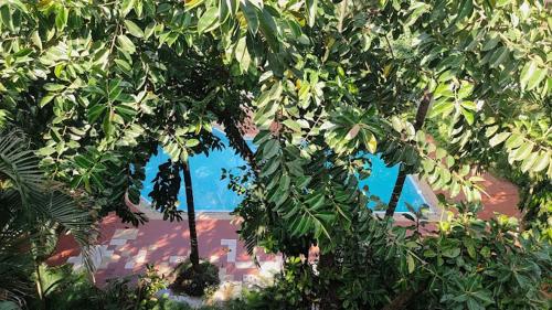 Gallery image of 1BHK Apartment in Arpora