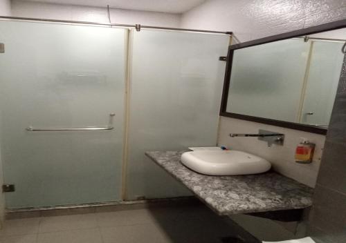 新德里的住宿－HOTELZO，带淋浴的浴室和位于柜台的卫生间