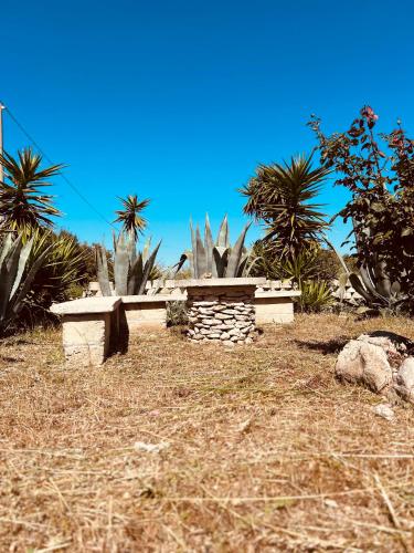 a bench in the middle of a field with palm trees at Dream Holiday in Marina di Lizzano