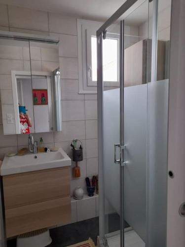 une petite salle de bain avec un lavabo et une douche dans l'établissement Les Abélias, à Hauterive