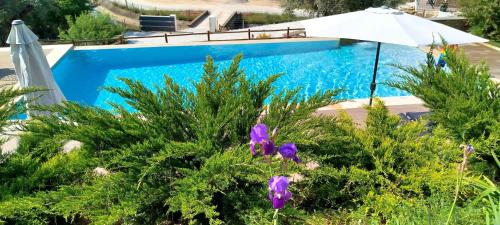 a blue swimming pool with an umbrella and purple flowers at Villa Regadio in Covilhã