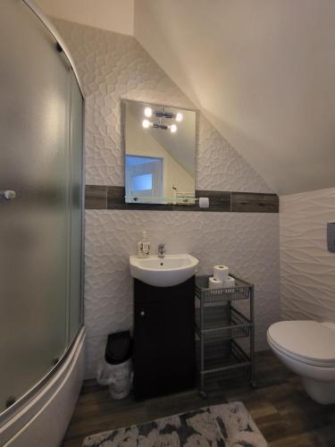 ein Badezimmer mit einem Waschbecken, einem WC und einem Spiegel in der Unterkunft Cicha Dolina in Wydminy