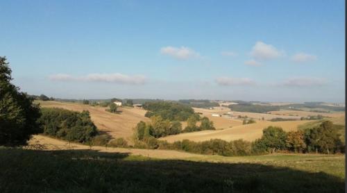 uma vista para um campo a partir de uma colina com árvores em pey sud gaua em Sistels
