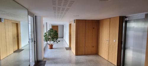 a hallway with wooden cabinets and a potted plant at Superbe Appartement-villa, Palm Beach - Face à la mer in Cannes