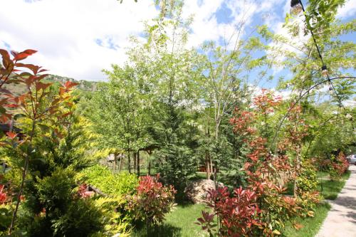 a garden with trees and flowers on a lawn at Lugina e Shengjergjit ,Bujtinat in Tirana