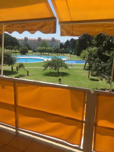 Hortensias de jardín