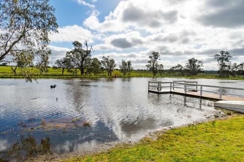 a dog swimming in a lake with a dock at Mollison Park Farm in Emu Flat
