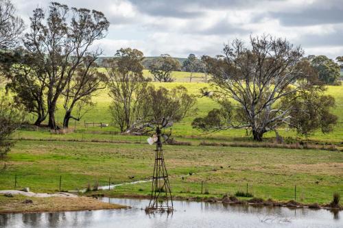 a bird feeder in the middle of a body of water at Mollison Park Farm in Emu Flat