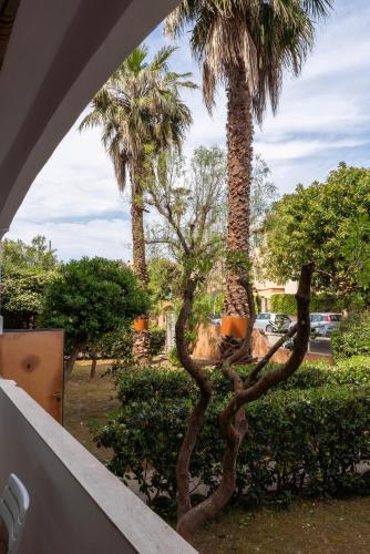 a tree in a yard with palm trees at Lido Holiday Home in Alghero