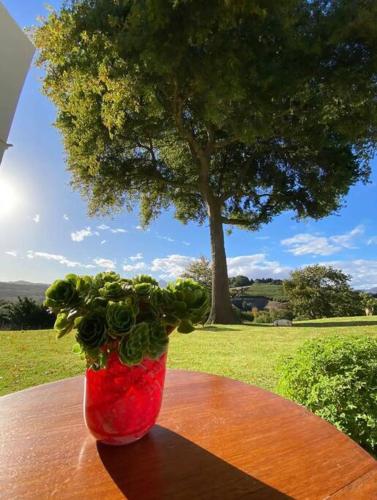 a red vase with a plant sitting on a table at Elgin Views Annex in Ouda Brug