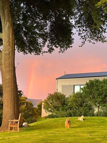 a dog laying in the grass next to a house with a rainbow at Elgin Views Annex in Ouda Brug