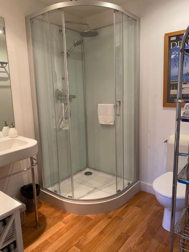 a glass shower in a bathroom with a toilet at Hôtel-Restaurant Côté Rivage in Badefols-sur-Dordogne