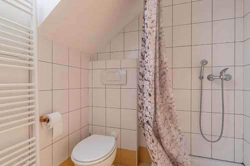 a bathroom with a toilet and a shower at Apartments Lavrič in Velike Bloke