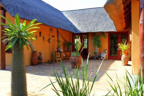 una casa de naranja con una palmera en el patio en Bushvilla Umoja Kruger en Phalaborwa