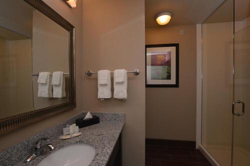Comfort Inn & Suites Newcastle - Oklahoma City في Newcastle: حمام مع حوض ومرآة
