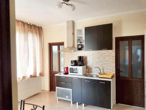 cocina con fregadero y microondas en 3 bedrooms house with furnished terrace and wifi at Sacele, en Săcele