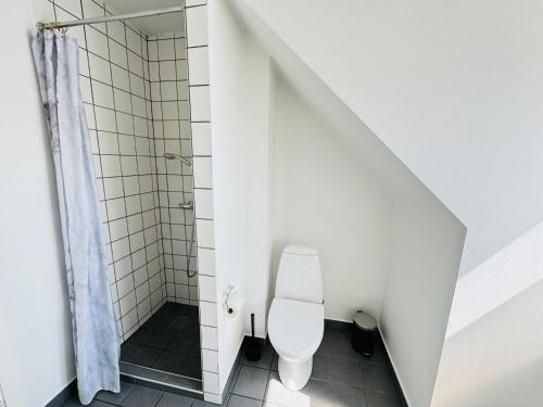 a bathroom with a toilet and a shower at aday - 1 bedroom balcony apartment on the pedestrian street in Randers in Randers