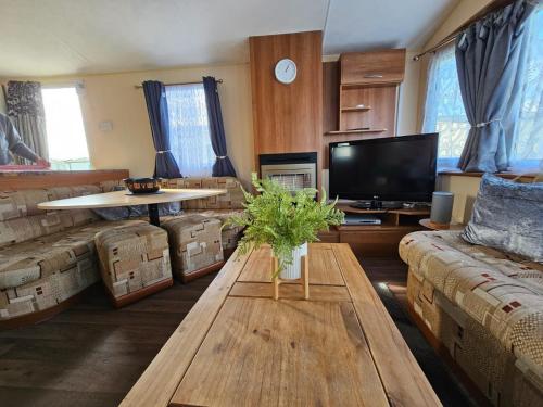 a living room with a couch and a table and a tv at NEW Orla Caravan in Meliden