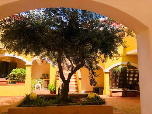 une arche avec un arbre au milieu d'une cour dans l'établissement Le case di Bea, à Santa Teresa Gallura