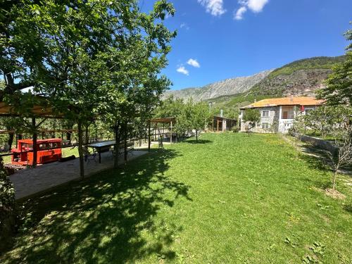 a yard with a picnic table and trees and a mountain at VILA DISHA in Tirana