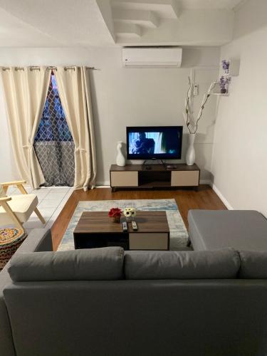 a living room with a couch and a tv at 1 Bedroom Apartment, in Coconut Drive San Fernando in San Fernando