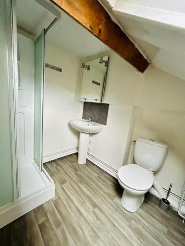 une salle de bain avec toilettes et lavabo dans l'établissement appartement 2 pieces, à Aurillac
