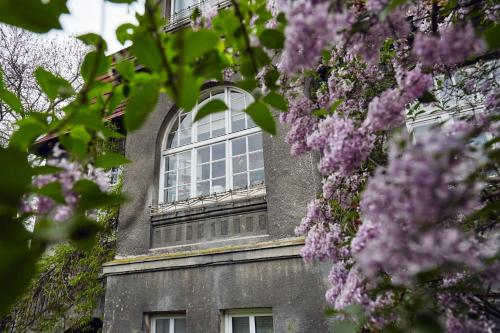 a window on top of a building with purple flowers at 29 Avenue Apartments in Krakow