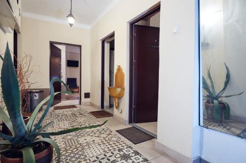 a hallway with a door and a potted plant at 29 Avenue Apartments in Kraków