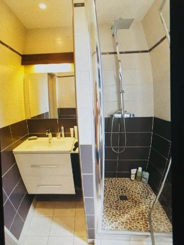 une salle de bain avec un lavabo et une douche dans l'établissement Appartement BAILA, proche de St Emilion et Bordeaux, à Libourne