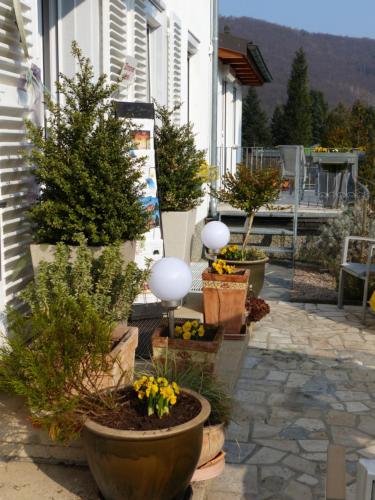 a row of potted plants on the side of a building at Haus Marija M in Badenweiler