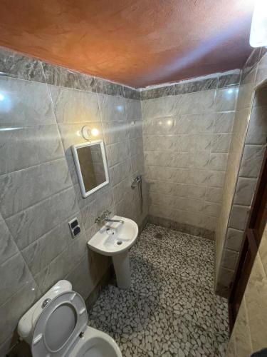 a bathroom with a toilet and a sink at Merzouga Lodge in Merzouga