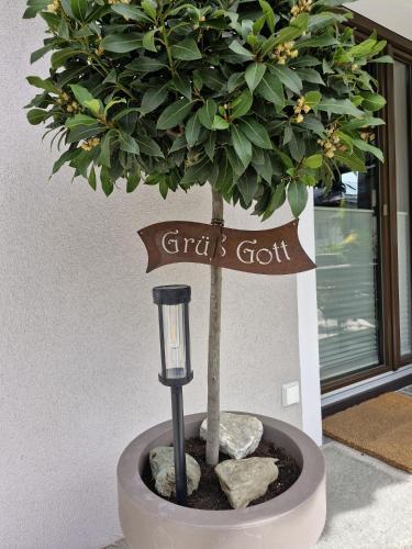 a potted tree with a street sign and a street light at Haus Egger in Jochberg