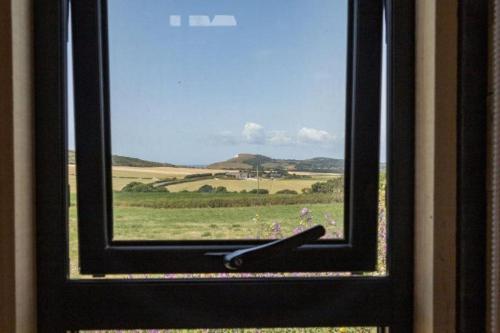 a window with a view of a field of flowers at Container 9, Camp Tapnell in Yarmouth