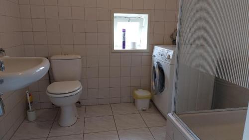 a bathroom with a toilet and a sink and a washing machine at Havelterhoeve in Havelte