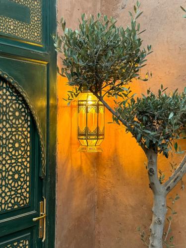 a light on the side of a building with a tree at CASA ABRACADABRA in Marrakech
