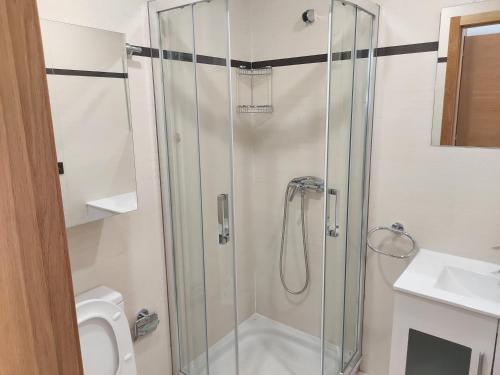 een douche met een glazen deur in de badkamer bij Apartamentos Manolo in Lugo