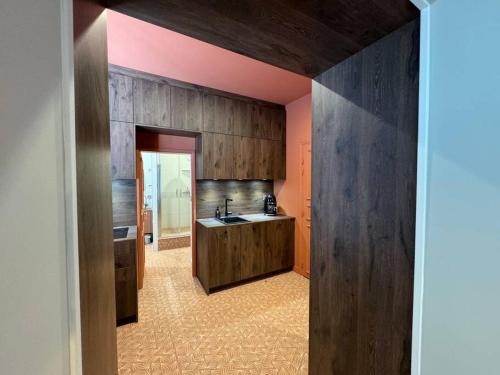 une cuisine avec des armoires en bois et un évier dans l'établissement Plateau central / beaux arts, à Clermont-Ferrand