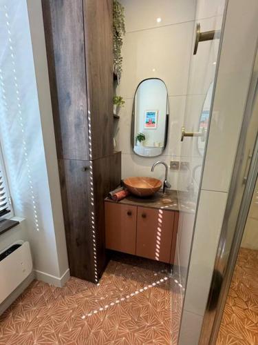 une salle de bain avec un lavabo et un miroir dans l'établissement Plateau central / beaux arts, à Clermont-Ferrand