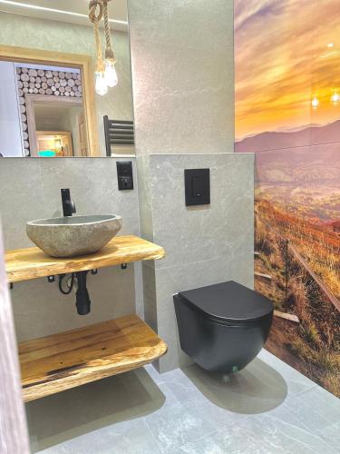 a bathroom with a black toilet and a sink at Pod Horodkiem in Cisna