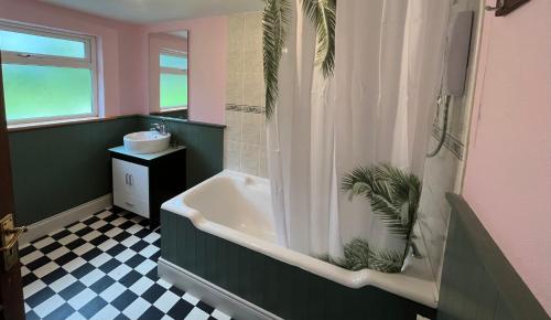 a bathroom with a bath tub and a sink at Seaview House Reenard South in Cahersiveen